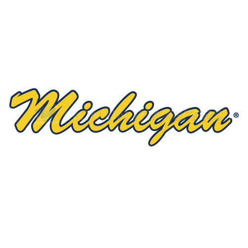 Michigan Wolverines Logo T-shirts Iron On Transfers N5072 - Click Image to Close